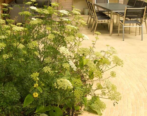 Сад by Elks-Smith Landscape and Garden Design