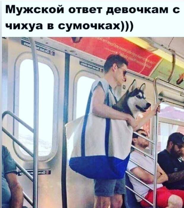 Веселые истории о нас (очередной выпуск)