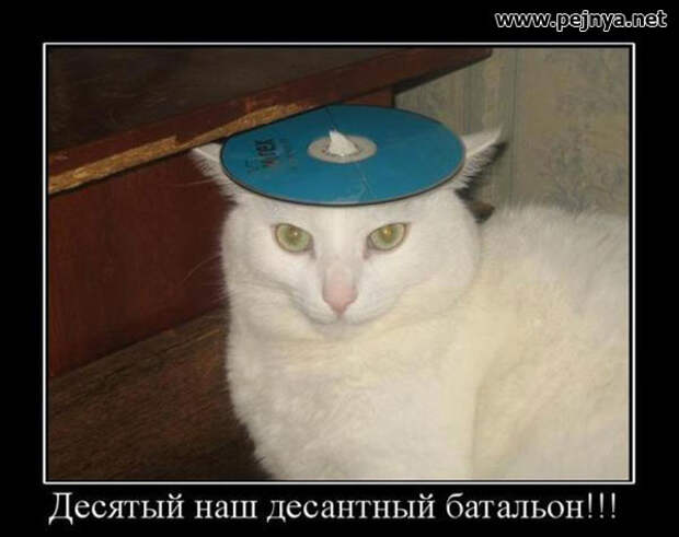Демотиваторы демотиваторы, прикол, юмор