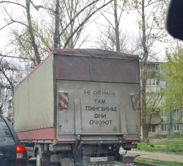 Пингвины на бульваре Шахтостроителей