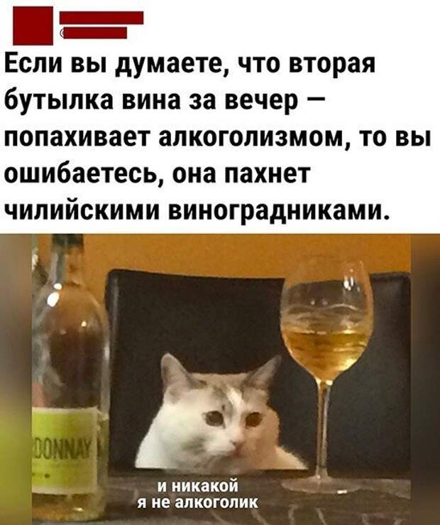 Шутки и мемы про алкоголь