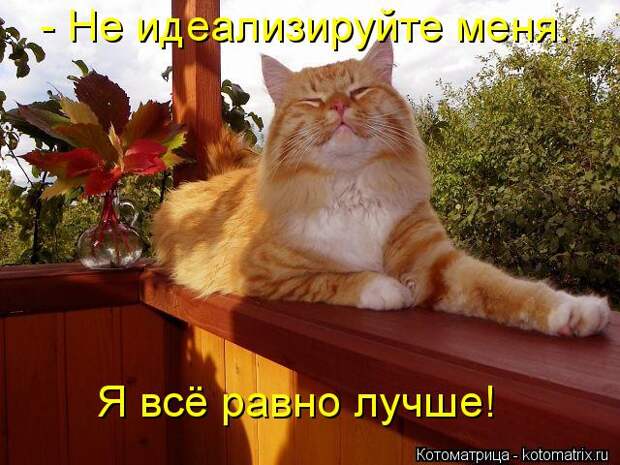 Новые котоматрицы с классным задором (30 фото) Новые котоматрицы с классным задором (30 фото)