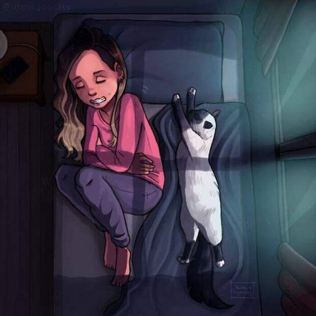 Кошатники поймут с одного взгляда: 14 милых иллюстраций о жизни с котом