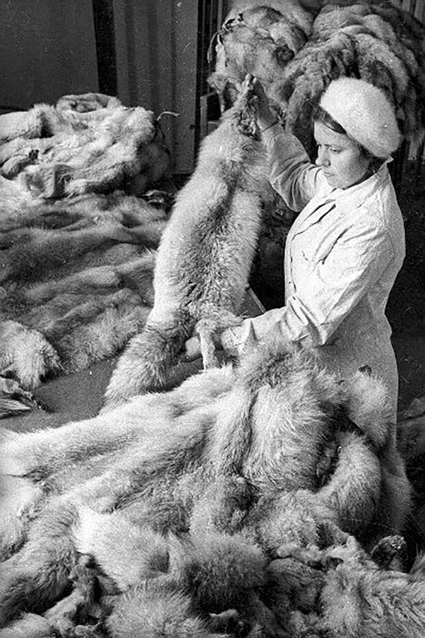 Советская жизнь в фотографиях легендарного корреспондента ТАСС Евзерихина