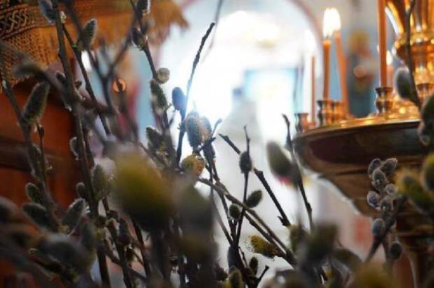 Православные тамбовчане празднуют Вербное воскресенье