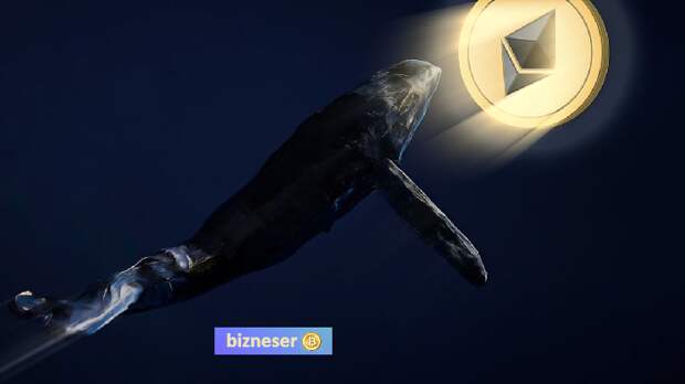 1724612493844.png 1724612493844.png