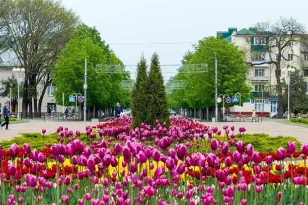 Майкоп 23.04.2017 Центральный парк. 