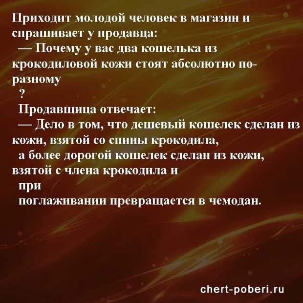 Самые смешные анекдоты ежедневная подборка chert-poberi-anekdoty-chert-poberi-anekdoty-20421212102020-13 картинка chert-poberi-anekdoty-20421212102020-13