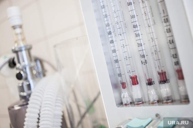 Кого из политиков лечили в немецкой клинике, где лежит Навальный