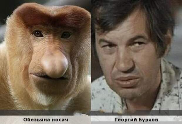 Невероятные сходства. Вот это хит! Невероятные сходства. Вот это хит!