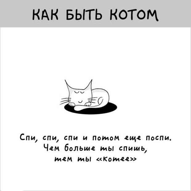 как правильно быть котом
