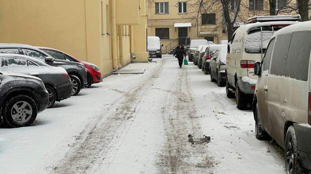 Актер Стругачев раскритиковал Смольный за некачественную уборку снега в Петербурге
