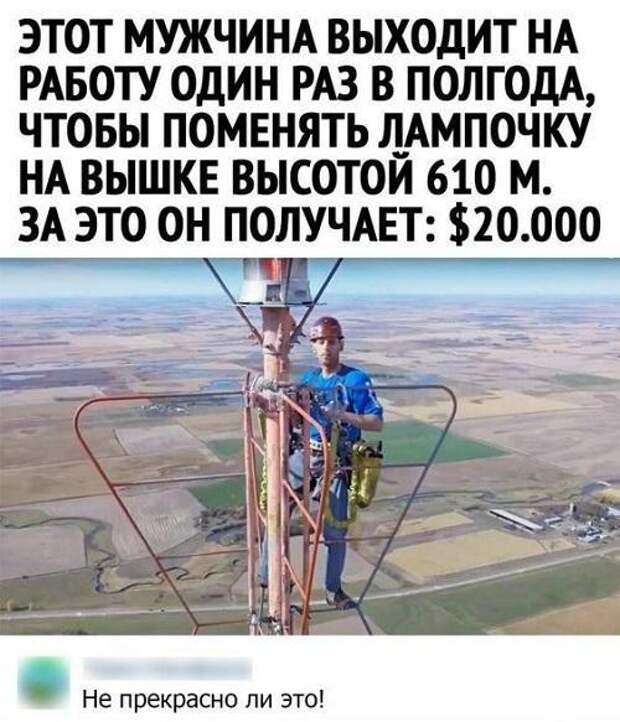 Свежие классные смешные картинки