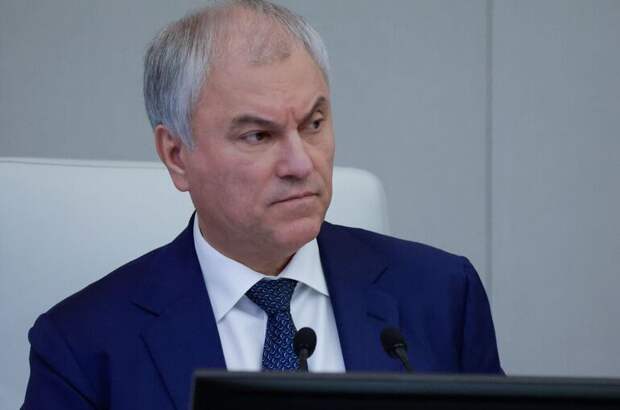 Володин проводит опрос о лимите на количество банковских карт