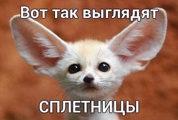 15 абсолютно свежих картинок с надписями пятницы