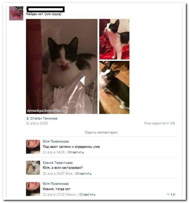 Прикольные комментарии из социальных сетей