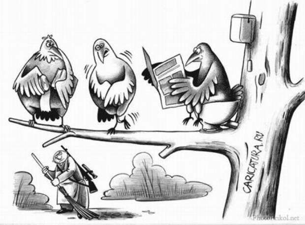 Карикатуры на среду