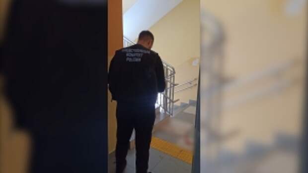 В Республике Татарстан возбуждено уголовное дело по факту нападения подростка на работницу школы