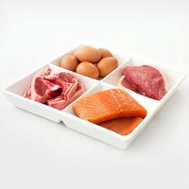 Список белковых продуктов