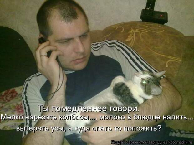 Лучшие котоматрицы недели (50 фото)