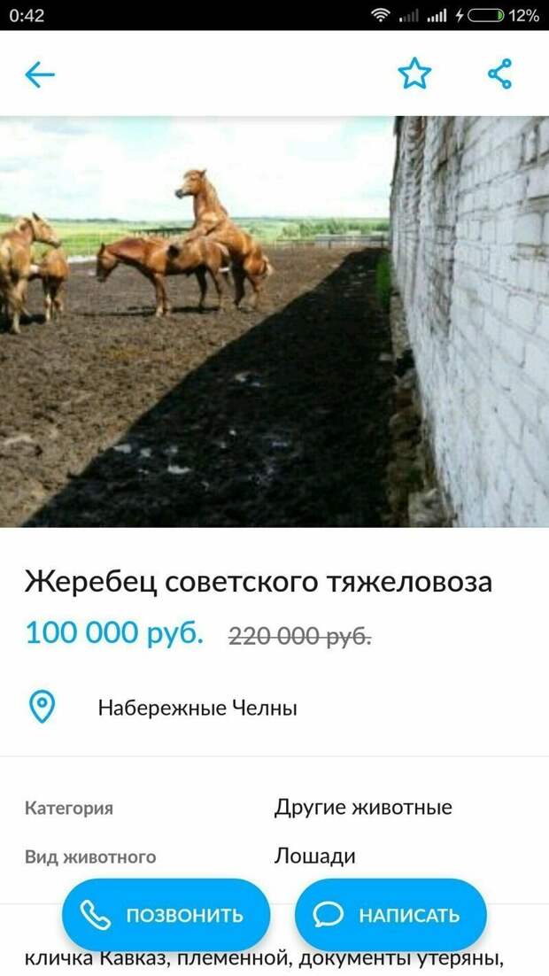 Юмористы и их объявления с Авито Юмористы и их объявления с Авито авито, авто, объявление, покупка, прикол, продажа, шутка, юмор