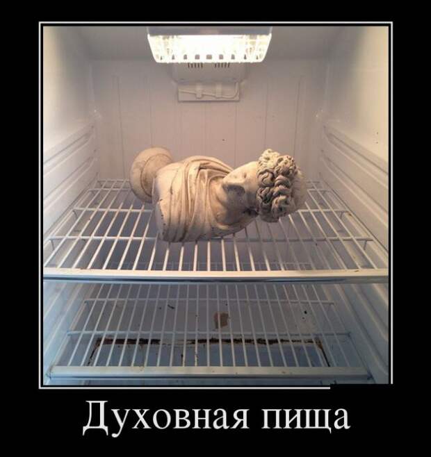 Демотиваторы