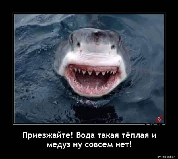 Свежих демотиваторов порция