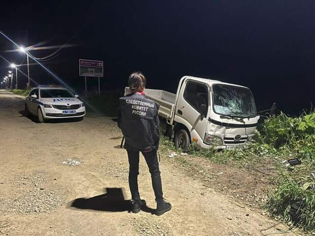 Пьяный водитель грузовика сбил четырех девочек на краю дороги на Сахалине