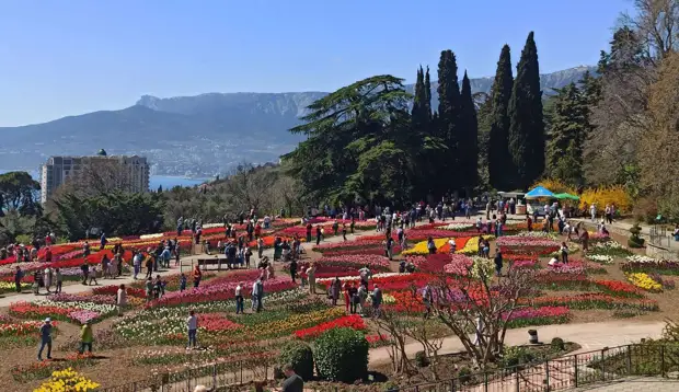 РИА ФАН/Дарья Сергеева