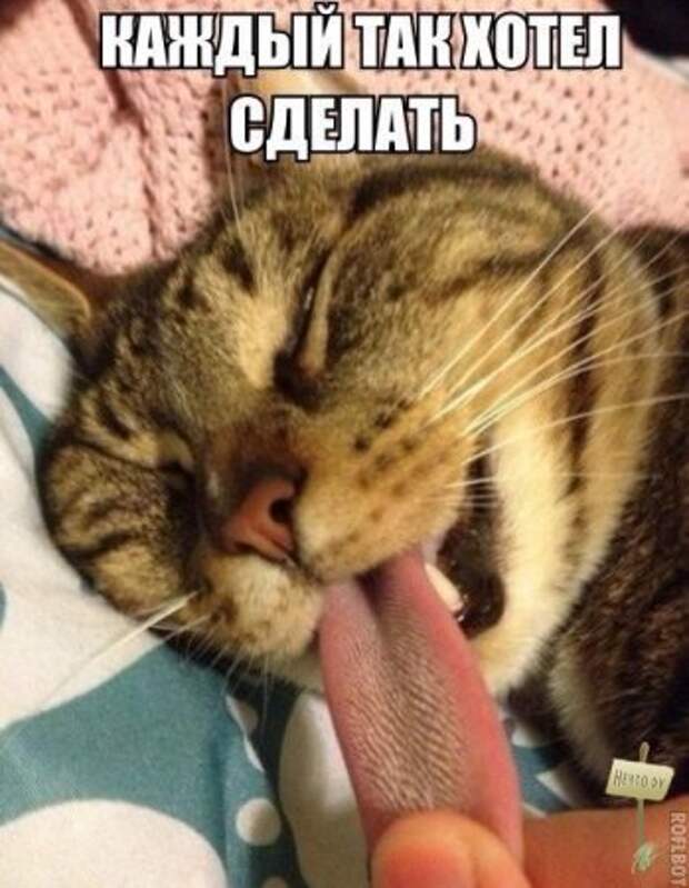 Самые-самые фотки и картинки