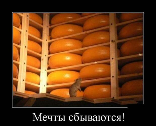 Такие вот демотиваторы...