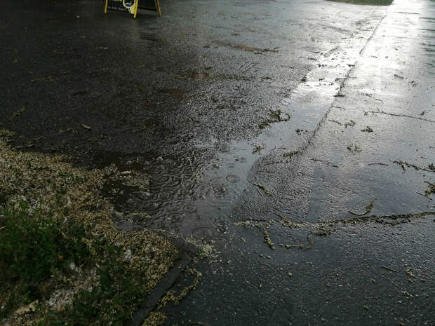 Весна со всеми последствиями: дождливые выходные ждут челябинцев