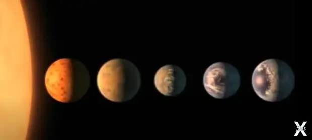 Научное описание внешнего вида пришельцев по Хокингу (Видео)