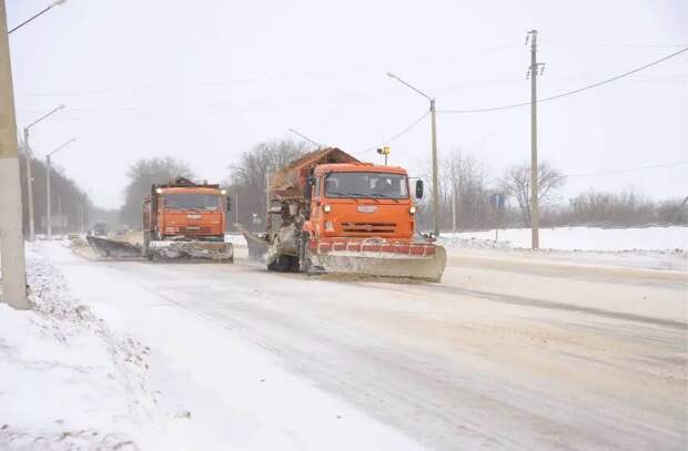 Метель накрыла Тульскую область: высота снежного покрова в Алексине достигла 48 сантиметров