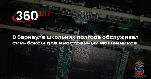В Барнауле школьник полгода обслуживал сим-боксы для иностранных мошенников