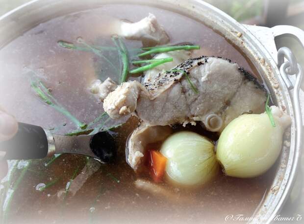 УХА из водки с головёшкой Еда, Уха, Уха на костре, Рыба, Тройная уха, Длиннопост