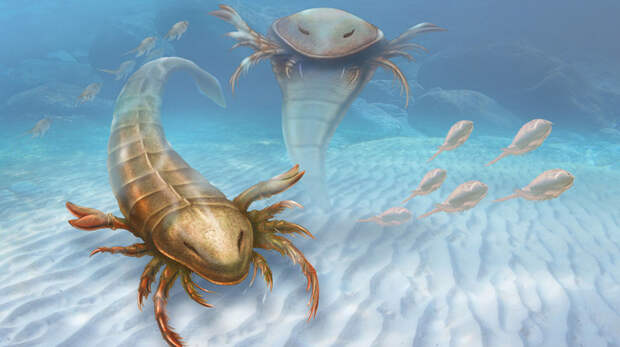 Огромный морской скорпион животные, факты