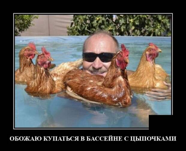 Демотиваторы 18 января 2022 года