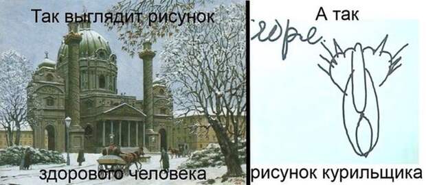 Прикольные картинки Прикольные картинки