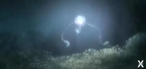 Научное описание внешнего вида пришельцев по Хокингу (Видео)