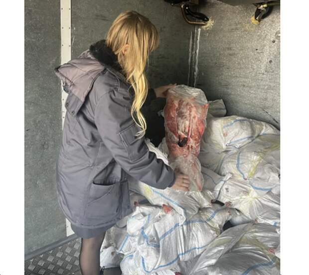 Опасное мясо нутрии пытались провезти в Успенский район Кубани