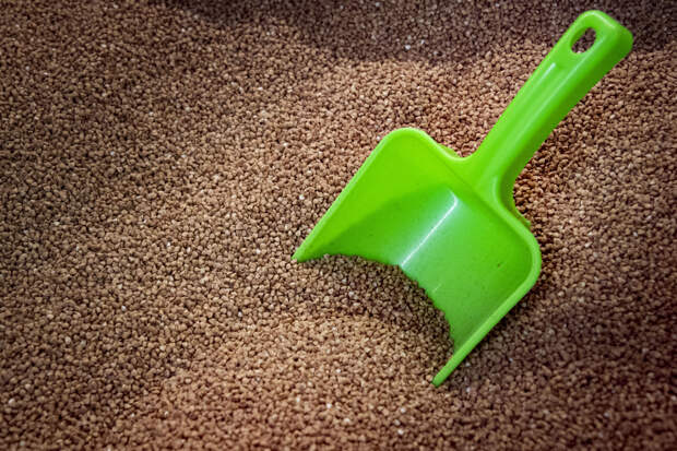 Блогерша описала российский магазин в Европе словами «цена на гречку — почти бесплатно»