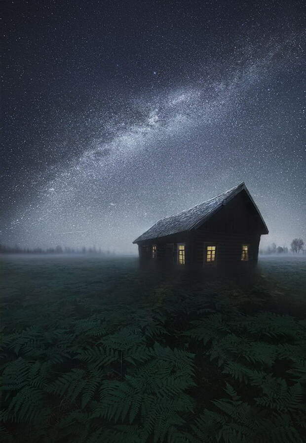 Задумчивые пейзажи Дениса Бодрова