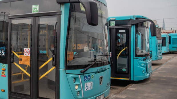 Петербург получил более 700 единиц нового транспорта за 2025 год