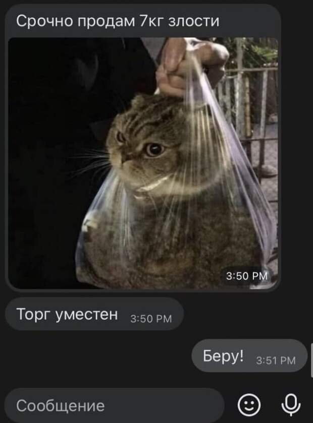 Смешные переписки