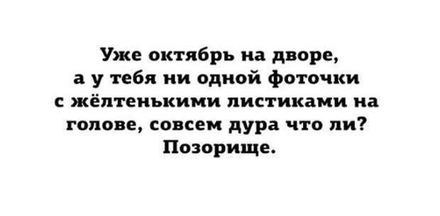 Подборка прикольных картинок (23 фото)