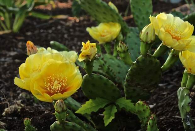 Screenshot_2025_08_04-8