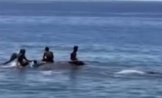 Фото: 9gag/скриншот