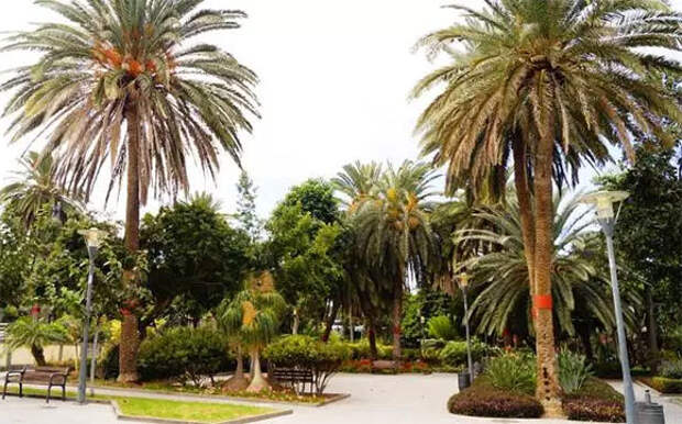Парки и сады Гран-Канарии