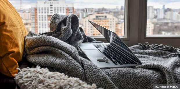 Сергунина: более 370 услуг и сервисов предоставляется в Москве онлайн